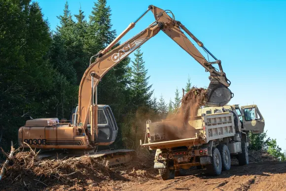 רוקבט קזינו תמיכה